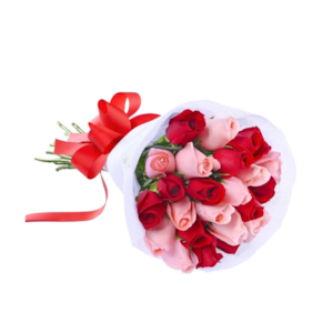 20 Rosas vermelhas e rosa