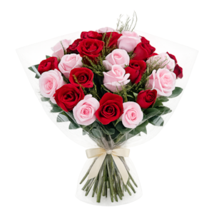 20 Rosas vermelhas e rosa