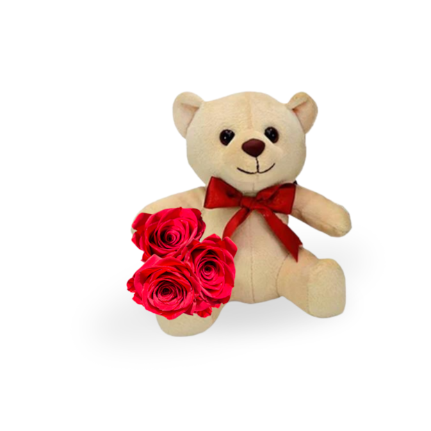 3 Rosas e urso Ted-23303e70-22c3-47f4-8a57-6d45f3818646