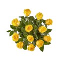 Arranjo 12 Rosas Amarelas-0ac6b57f-e7fa-40f9-9a98-fe908d92af24
