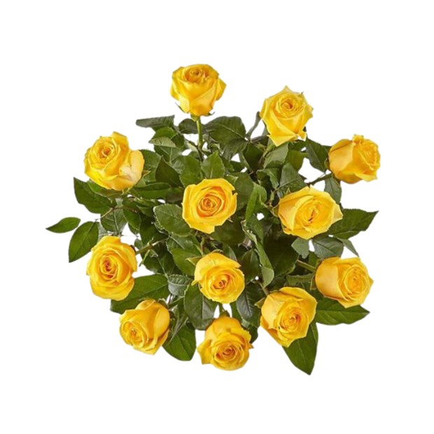 Arranjo 12 Rosas Amarelas-e53fd6da-8106-475a-886c-8eb7e1d5a0ce