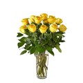 Arranjo 12 Rosas Amarelas-4b07d37d-2b09-4762-8c6a-bb2425b4b400