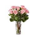 Arranjo 12 rosas rosa-f6d0594d-7810-4511-987b-b28681230675