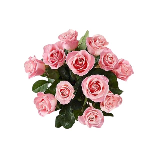 Arranjo 12 rosas rosa-a3fa73d3-d193-4e16-8c14-4e27607b03e2