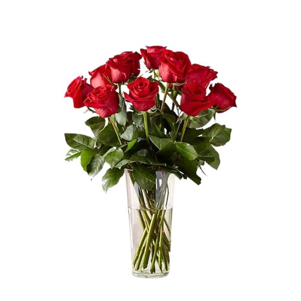 Arranjo 12 Rosas vermelhas-1770232f-0b5f-4fb1-bc00-5eb453914c24