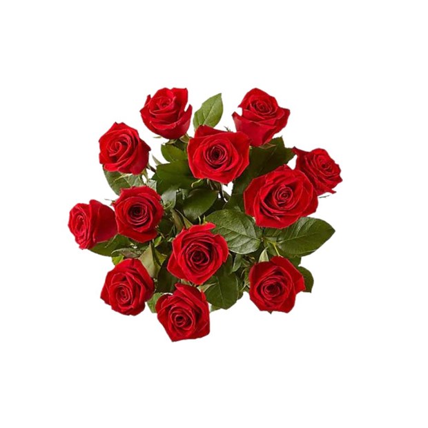 Arranjo 12 Rosas vermelhas-84f5c5d8-130c-4a34-b175-fc67c10f3c6d