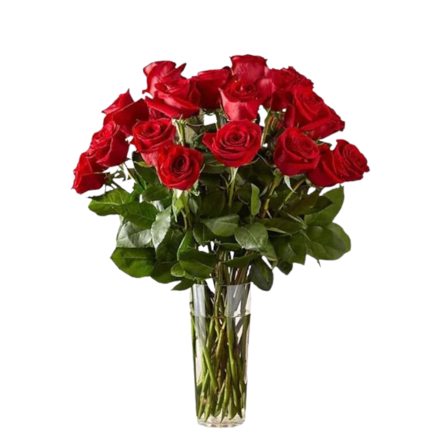 Arranjo 24 Rosas vermelhas-053e5fe7-47a0-430b-b853-91a017b74084