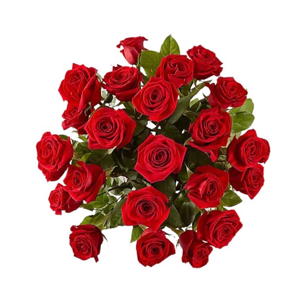 Arranjo 24 Rosas vermelhas-259534f1-cd9d-4b3f-a502-18c991b8b149