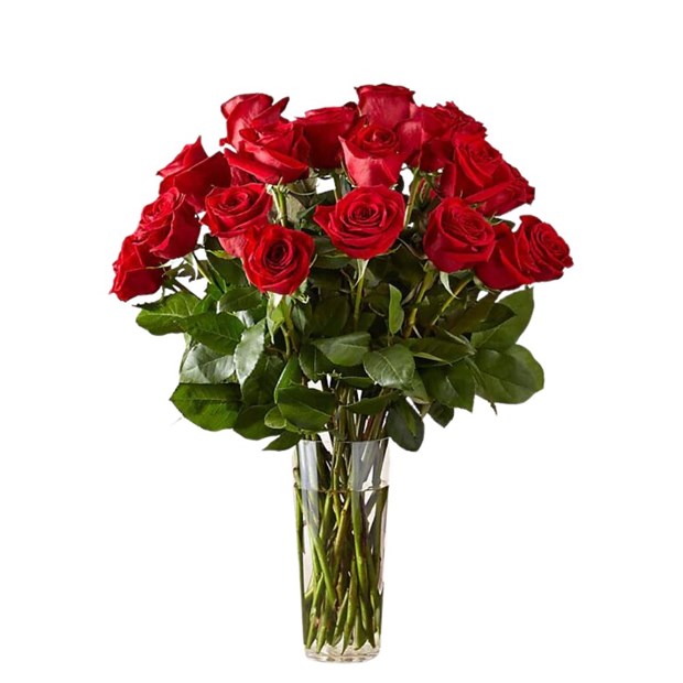 Arranjo 24 Rosas vermelhas-693a45dc-982a-4cce-b665-8c913df0a686