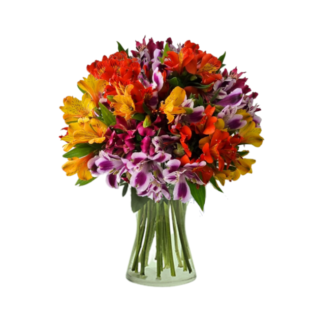 Arranjo Astromelias Coloridas-e13c6fb2-66f7-4f8a-9394-48fa4fc22b24