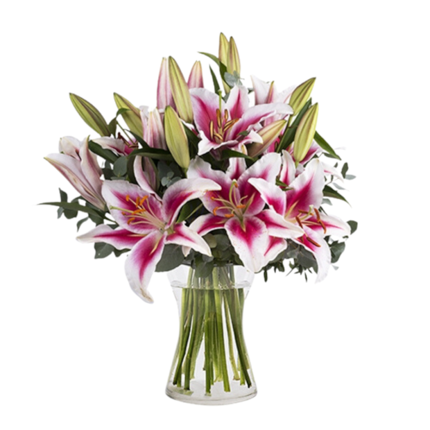 Arranjo de Lirios Rosa-6a0b26b1-05e7-413b-a078-291f4adf5fb2