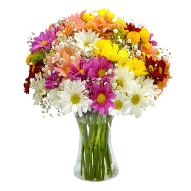 Arranjo de Margaridas Coloridas-611600d3-59fe-4936-92bb-58884273e459