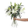 Arranjo Lírios Branco Stargazer-81648755-ef3a-4287-9c18-eff63ea88f1a