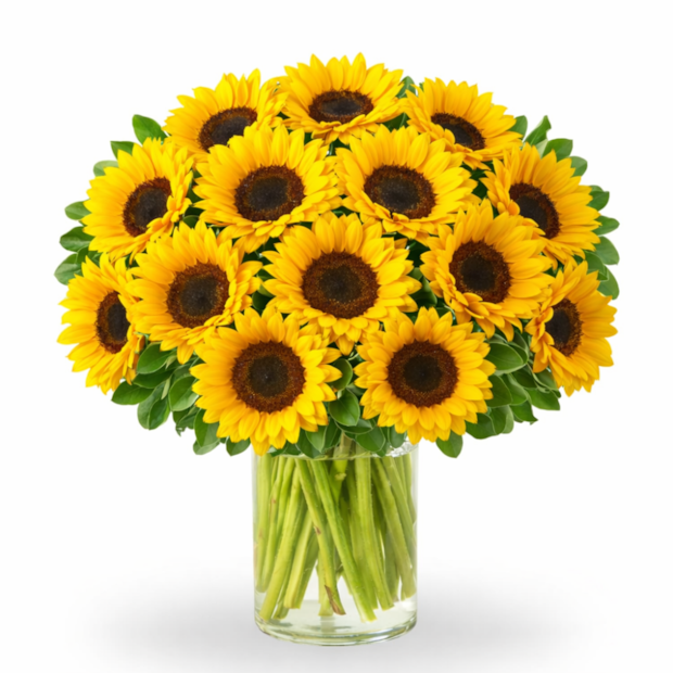 Arranjo Luxuoso de Girassóis-72fc1580-2ce9-4aad-a7e8-220dab911a05