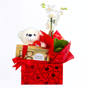 Box Orquídea com chocolate e urso