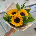 Buquê 3 Girassóis e chocolate-60bc575a-23bf-4917-a215-d7e127ed47ea