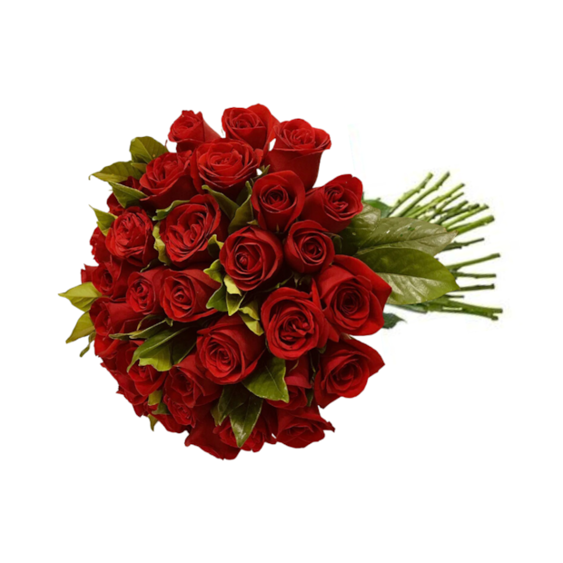 Buquê 30 rosas Vermelhas-8858ac7c-2be7-4769-afaf-b7f8d5abe09e