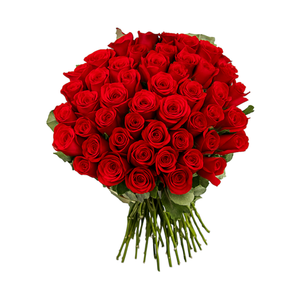 Buquê 50 rosas Vermelhas-5787c247-c3f0-4a89-b71a-58f5ef5bd8fb