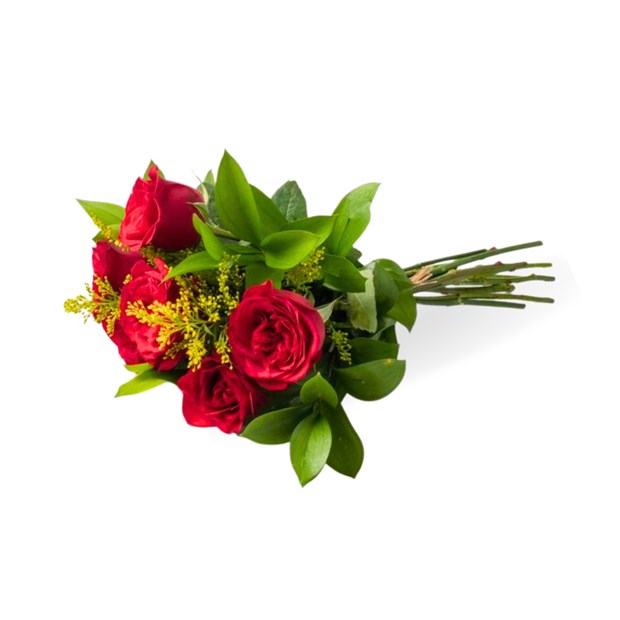 Buquê 6 rosas vermelhas-fbd92cf0-f10a-4c27-9987-a8b087f5a2c5