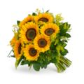 Buque de 08 Girassóis-847a2511-a90d-4036-b113-9778f900c472