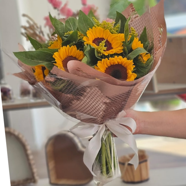 Buque de 12 Girassóis-a19baa5c-8cdf-4e5f-955c-191879d3bd3f