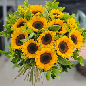 Buque de 12 Girassóis