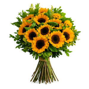 Buque de 12 Girassóis