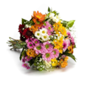 Buquê de Flores do Campo Grande-7ef1e2fb-392f-4abc-bdf9-5262442bbc9b