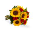 Buquê Girassóis e Rosas Vermelhas-590fb3d6-e38b-4d8e-bee3-4e6ff23a026c