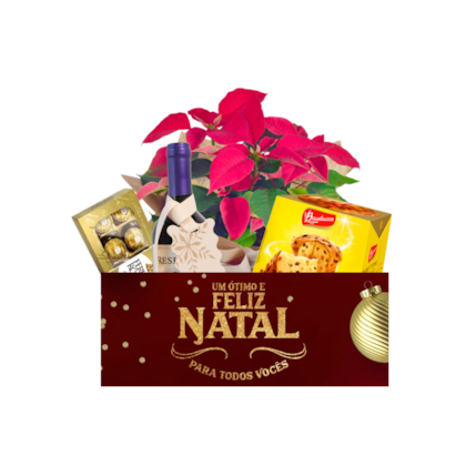 Cesta Natal Radiante