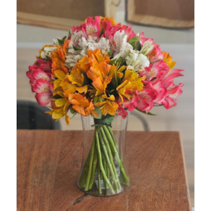 Delicado de Astromelias