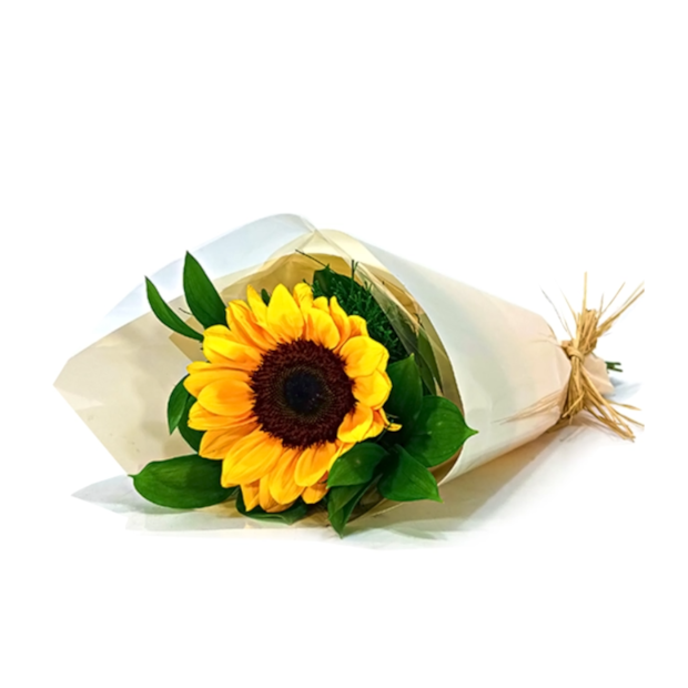 Girassol Unitário-af11505d-060e-465b-a5dc-fe110bde7c86