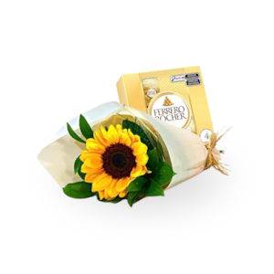 Girassol Unitário e Ferrero T4
