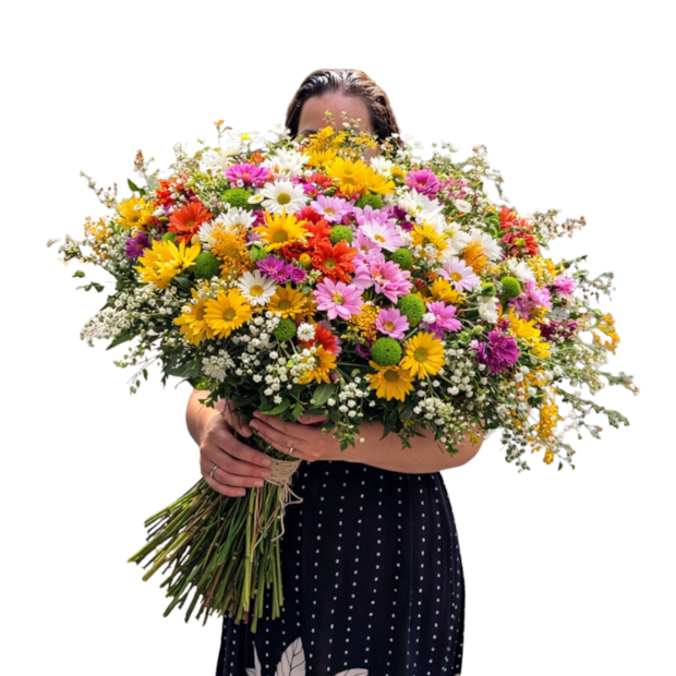 Mega Buquê Flores do Campo Premium-47f10f00-6262-49ce-94dd-c87099349573