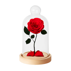 Rosa Encantada